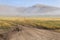 View of Castelluccio di Norcia Umbria, Italy upland at morning, with haybales and mist