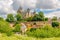 View at the Castle Monfort in Vitrac village ,France