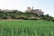 View of castle and sunflower fields in CalataÃ±azor, town of Castilla, Spain