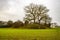 View of Castle Toll in Kent, England