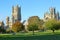 View of the Cathedral in Autumn from Cherry Hill Park in Ely, Cambridgeshire, with cows in the foreground