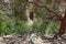 View of a cave deep in the mountains of Ein-Gedi park.