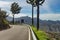 View of the center of Gran Canaria. Famous Roque Nublo - Cloudy rock in huge caldera. In the foreground are several charred pine