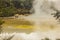 The view of Central Pools at Waiotapu Thermal Wonderland near Rotorua, New Zealand.