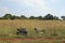 VIEW OF CHAIRS ABANDONED IN THE OPEN