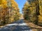 The view of the changing leaves from a vehicle on the Blue Ridge Parkway