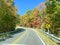 The view of the changing leaves from a vehicle on the Blue Ridge Parkway