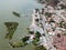 A view of Chapala town next to the Lake