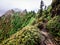 View from Charlies Bunion along the Appalachian Trail