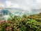 View from Charlies Bunion along the Appalachian Trail