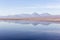 View of Chaxa lagoon during winter