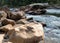 View of Cheat River rapids near Albright