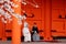 View of cherry blossoms Sakura with a background of a newlywed couple, the bride dressed in Pure White Shiromuku