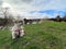 A view of the Cheshire Countryside