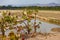 View of chindeni hills and luangwa river in the valley