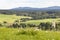 View of the church and a small village in a romantic valley surrounded by meadows and pastures