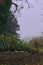 View of churchyard wall towards hills on cloudy day