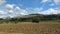 View of the city of Assisi