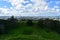 View of the city of Auckland from the Mount Eden area in New Zealand