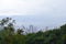 View of the city of medellin in south america. residential houses in the woods in the country of Colombia