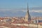 View of the city of Turin