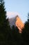 View of the classic ascent route of Pizzo Badile in the Swiss Alps framed by Swiss pine trees in warm evening light