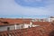 A view of classic older style rooftops across the Venice skyline