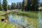 View of the clear water in the Dana Fork River in Yosemite National Park on a summer day