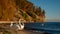 View of the cliff in Gdynia with beautiful swans, Poland.