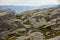 The view from the cliffs on the Geirangerfjord in Norway. Many s