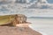 View from clifftop at a golden beach with people enjoying walking