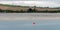 View of Clonakilty Bay at low tide. A small orange buoy is kept on a calm water surface. The shore of the sea
