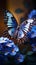 view Close up a butterfly delicately perched on blue flowers in the garden