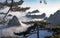 View of the clouds and the pine tree at the mountain peaks of Huangshan National park, China. Landscape of Mount Huangshan of the