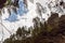 View of a cloudy sky between hilly forest