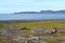 View of the coast of the Barents Sea in the summer. Kola Peninsula