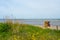 View of the coast at Gollwitzer Strand. Natural beach near Gollwitz in the nature reserve on the island of Poel