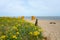 View of the coast at Gollwitzer Strand. Natural beach near Gollwitz in the nature reserve on the island of Poel