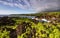 View of the coast and lush vegetation in Waianapanapa State park