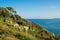 View of coast and sea in Torquay, South Devon