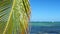 View through Coconut palm trees on tropical seashore