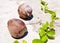 View of coconuts on sandy beach