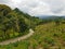 View of a coffee farm in Salento with a road on a cloudy day