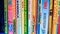 View of Colorful Children\'s Books on Bookshelf