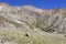 View of colorful mountains from the way to Ganda La Pass, Ladakh, India