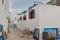 View of colorful plant pots, windows, on a typical house white wall, the Kasbah of the Udayas, in Rabat, Morocco.