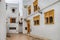 View of colorful plant pots, windows, on a typical house white wall, the Kasbah of the Udayas, in Rabat, Morocco.