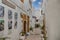 View of colorful plant pots, windows, on a typical house white wall, the Kasbah of the Udayas, in Rabat, Morocco.