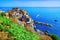 View of the colorful seaside Cinque Terre village of Manarola, Italy over vineyards