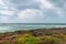 A view of colorful wild vegetation on the top of a hill along the coastline with choppy sea under a grey sky